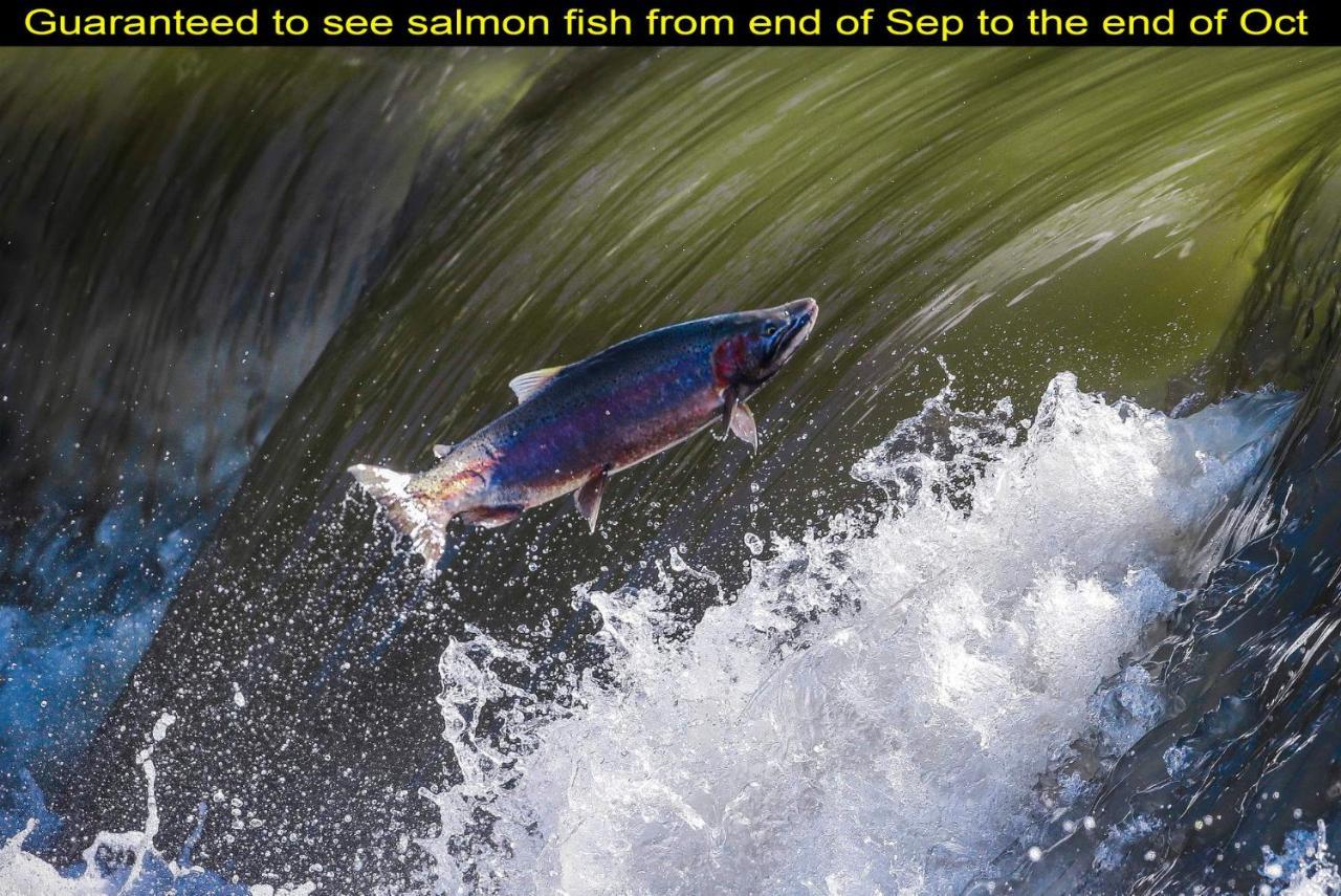 Salmon Magwood Guesthouse Toronto Dış mekan fotoğraf